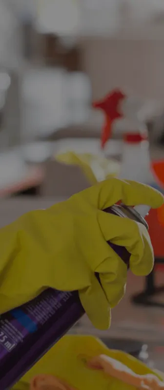 Cleaners Available in Rossville